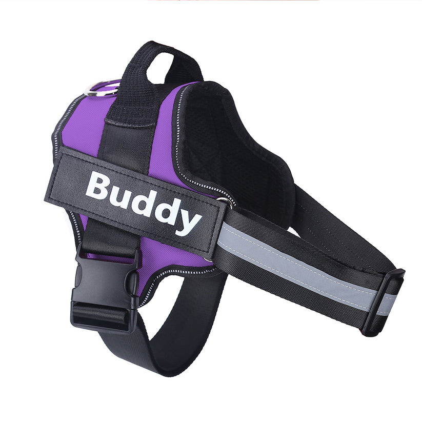 Petwagora HomeSafe™ ID Dog Harness
