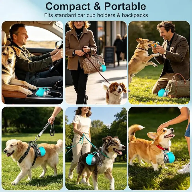 2-in-1 Portable Dog Water Bottle with Bowl, 10oz Stainless Steel Travel Pet Water Dispenser, No-Spill Leak-Proof Design with Silicone Bowl, Perfect for Walking, Hiking, and Travel