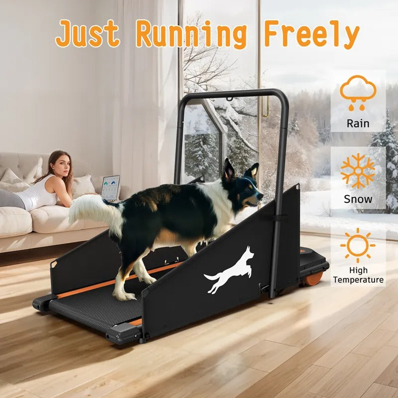 Dog Treadmill for Small & Medium Dogs | Indoor Run & Walk Exercise Machine