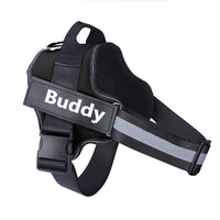 Petwagora HomeSafe™ ID Dog Harness