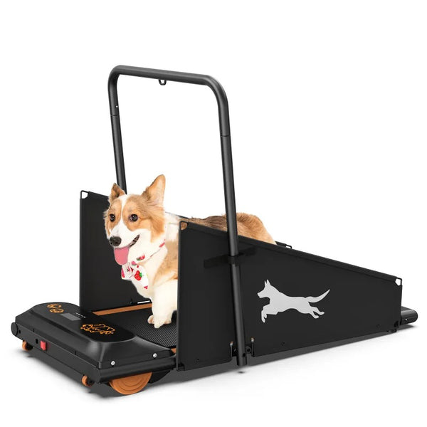 Petwagora PaceTrack™ Indoor Dog Treadmill
