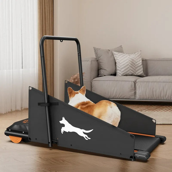 Petwagora PaceTrack™ Indoor Dog Treadmill