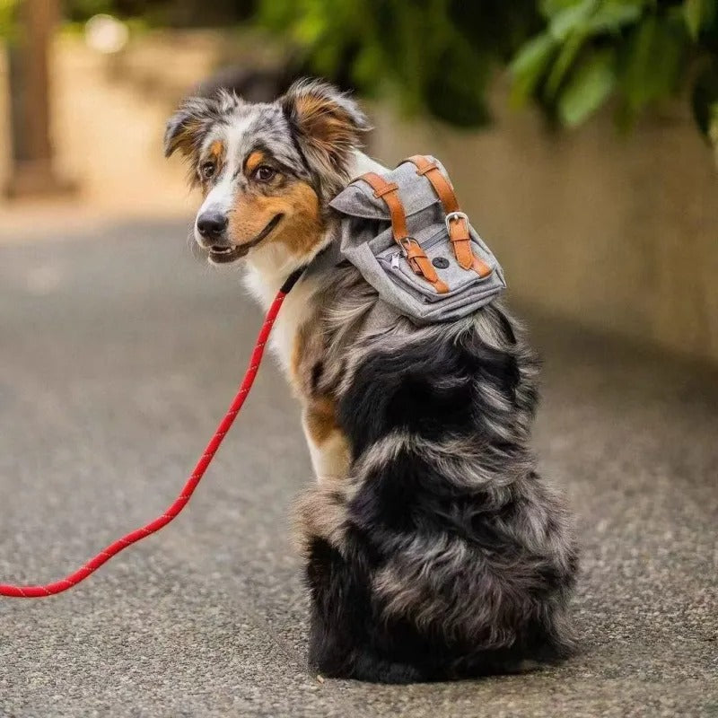Petwagora UrbanPack™ Streetwear Dog Carrier