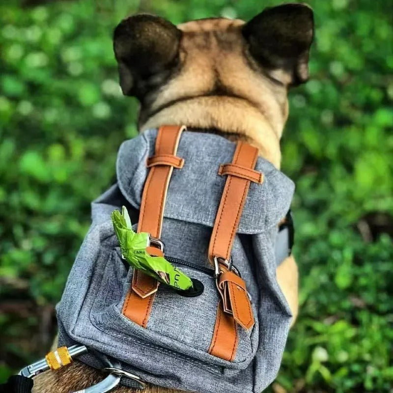 Petwagora UrbanPack™ Streetwear Dog Carrier