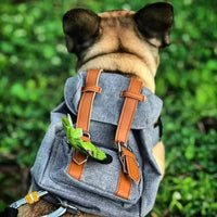 Petwagora UrbanPack™ Streetwear Dog Carrier