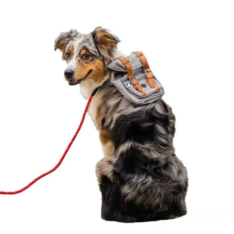 Petwagora UrbanPack™ Streetwear Dog Carrier