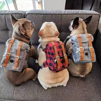 Petwagora UrbanPack™ Streetwear Dog Carrier