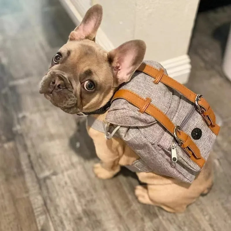 Petwagora UrbanPack™ Streetwear Dog Carrier
