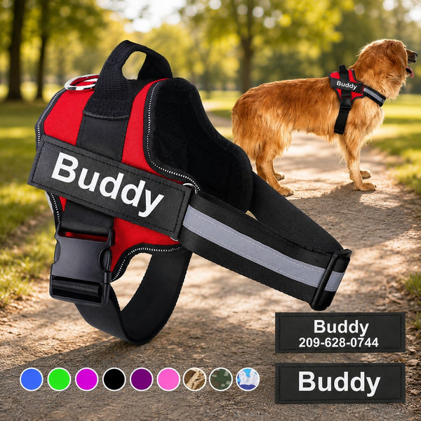Petwagora HomeSafe™ ID Dog Harness